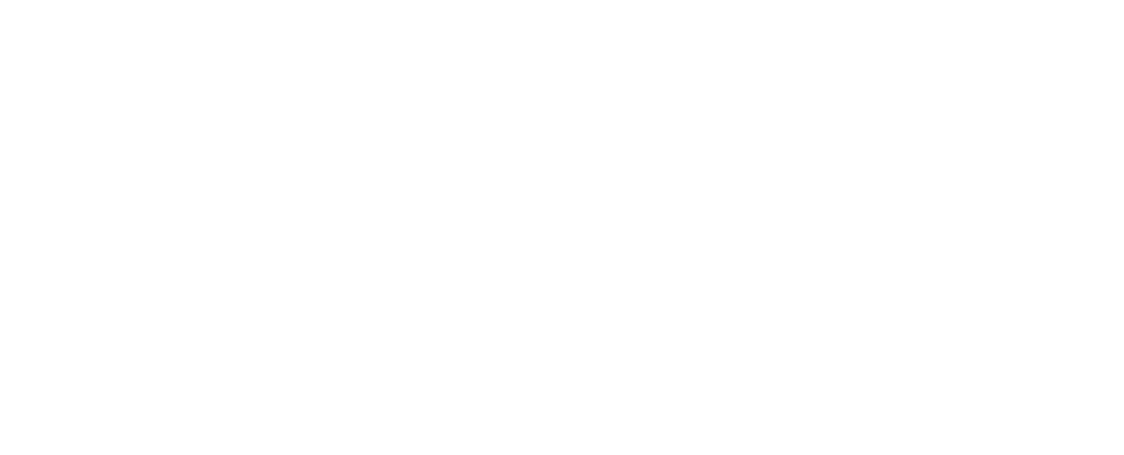 Divina Lingerie